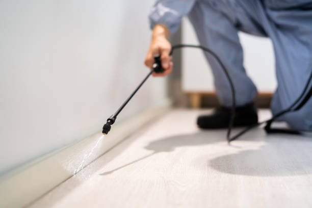 Licensed Pest Control service in Plainsboro Center, NJ - Show Me Pest Control