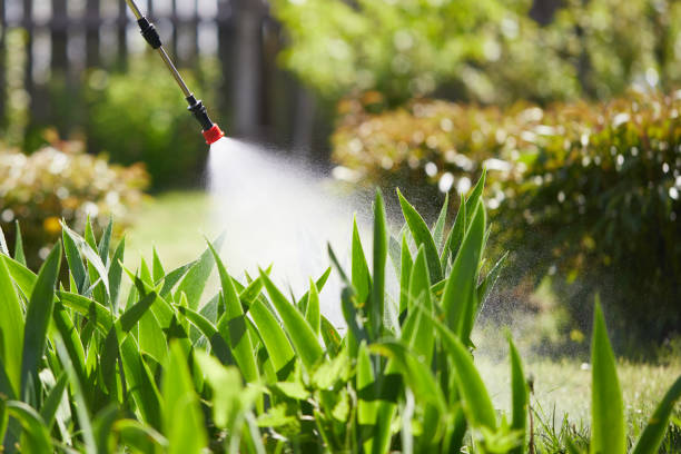 Tamper-Resistant Bait Stations for Rodents in Plainsboro Center
