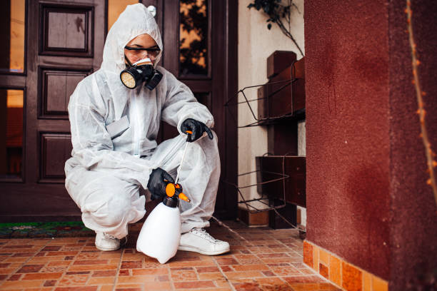Attic and Crawl Space Rodent Treatment in Plainsboro Center