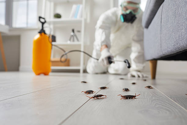 Commercial Rodent Management in Plainsboro Center
